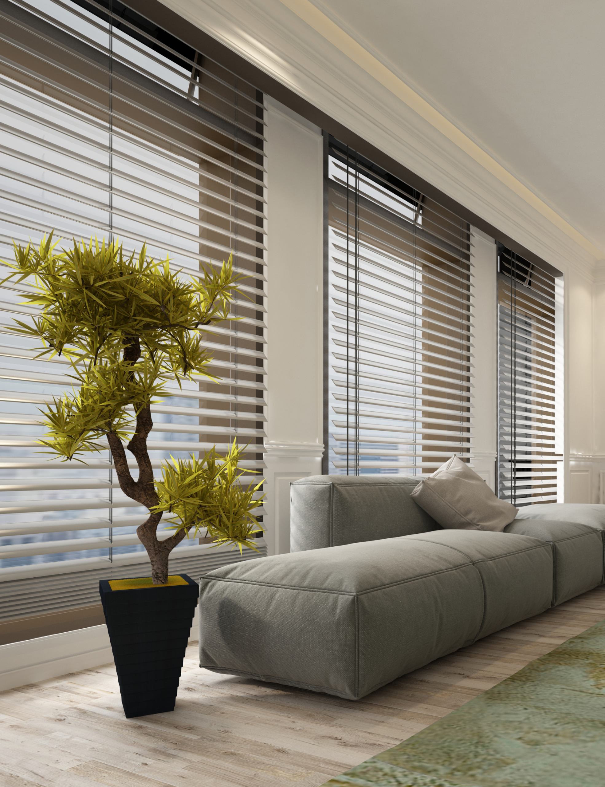 New Blinds
